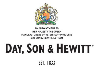 Day Son & Hewitt Logo