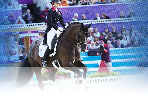 KWPN Valegro